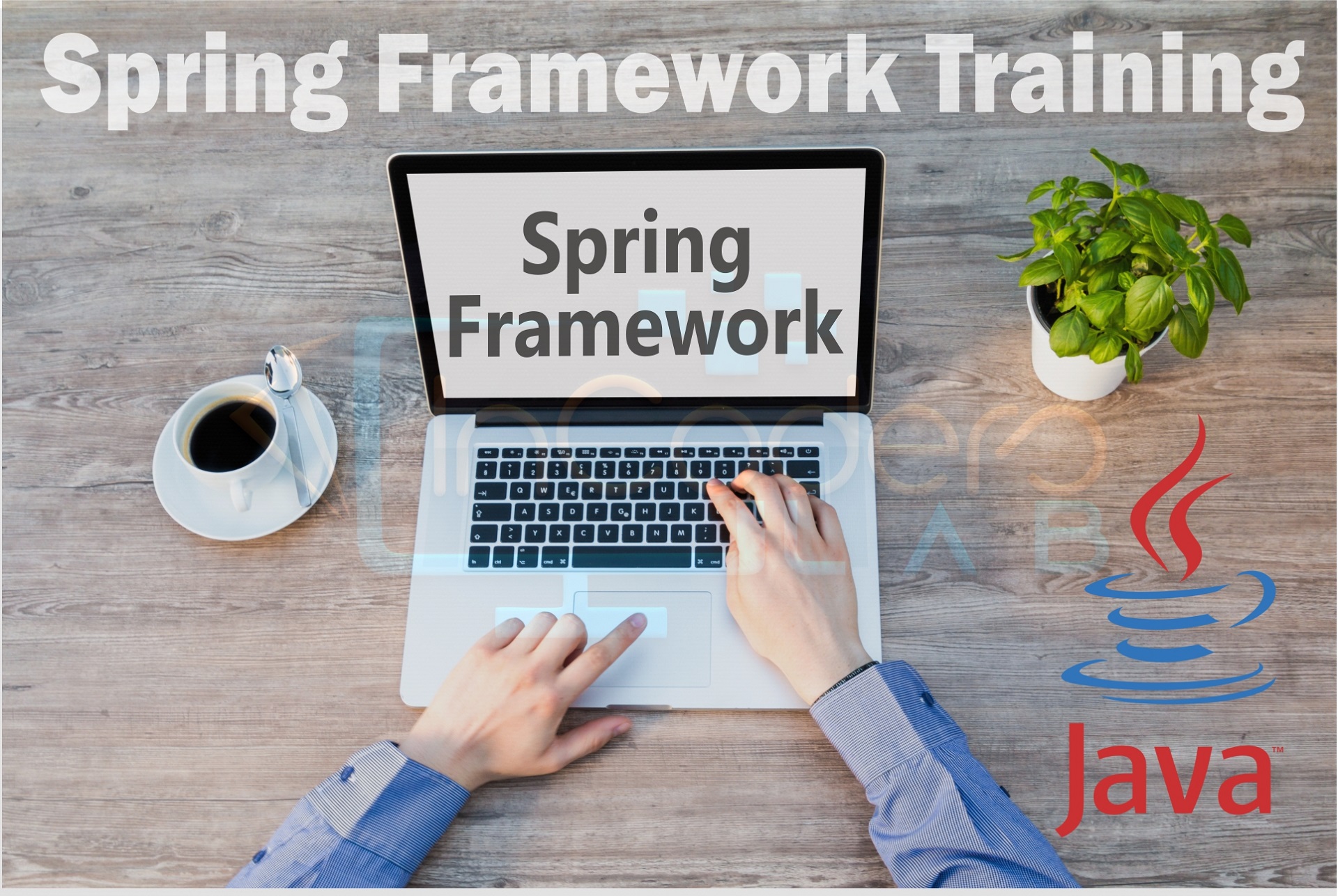Java Spring Framework Training